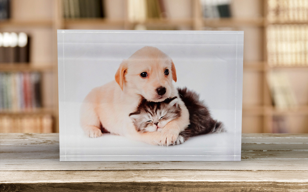 ACRYLIC PHOTO BLOCKS 5